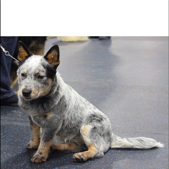 Meet your Posher, Joanm - Picture 1 of 1